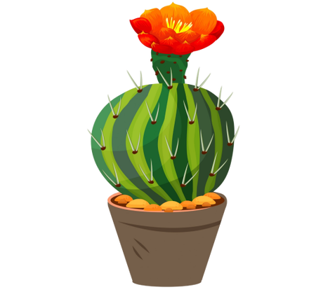 The Creative Cactus
